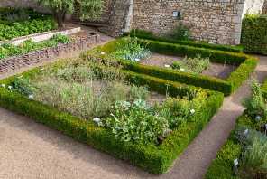 picture of a simple kitchen garden